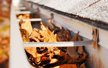 Fullers Moor gutter cleaning companies